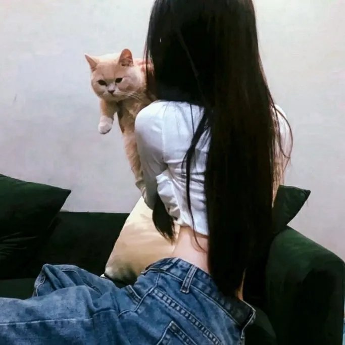 绝望主妇第二季