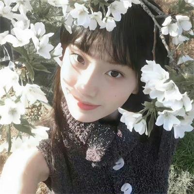 全球高武·动态漫